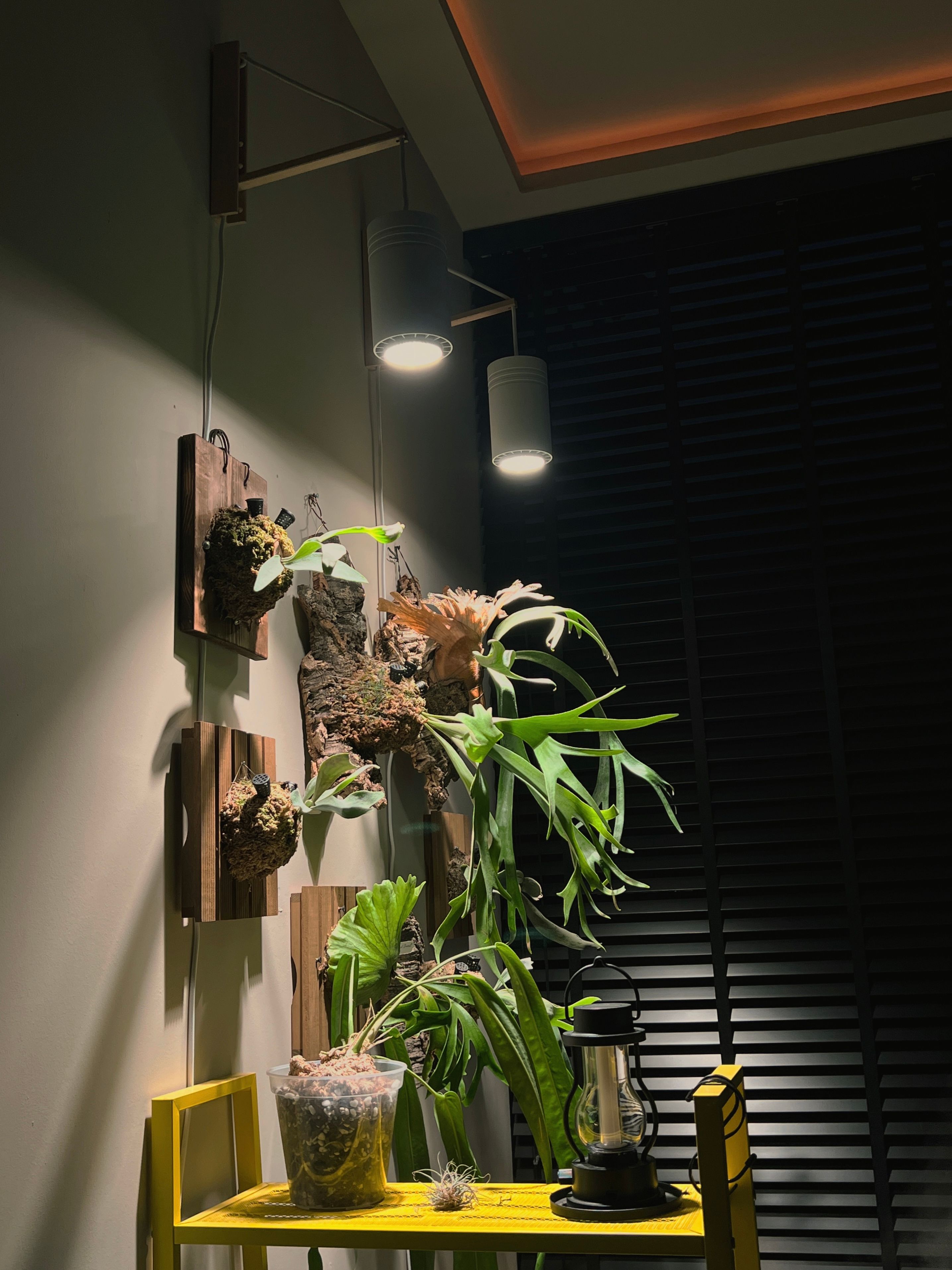 Enhancing Indoor Plant Growth with Decorative Grow Lights