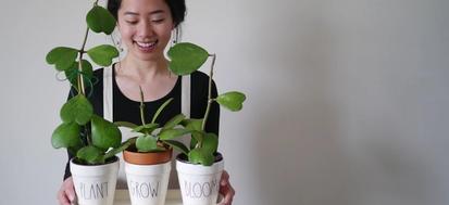 Plantfluencer Amy Lee from Interviews