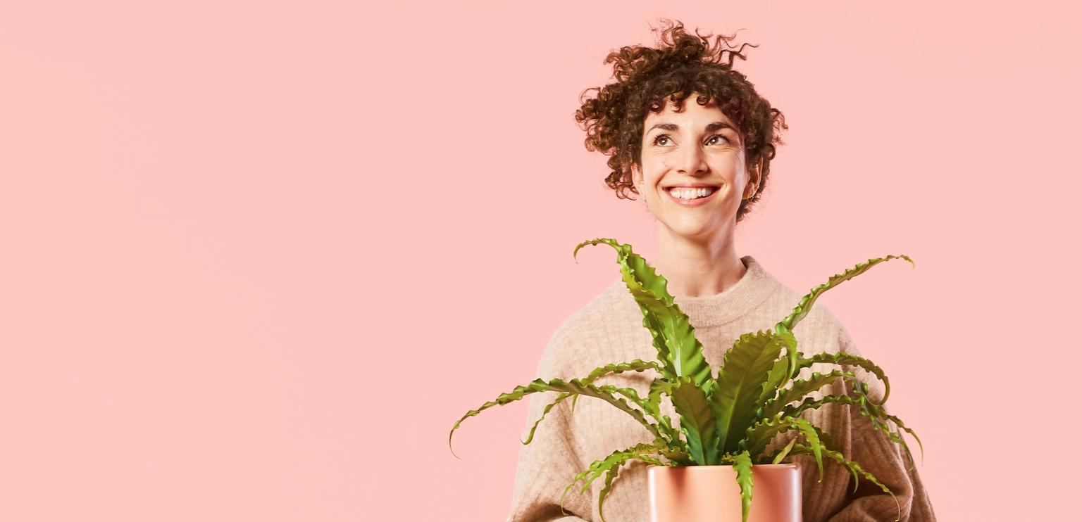 Why You Need Plants In Your Life