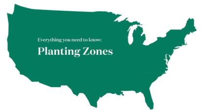 Understanding USDA Plant Hardiness Zones: A Gardener's Guide  from Plants 101