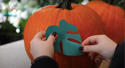 How to Carve a Pumpkin and DIY Plant Stencils from Design Tips