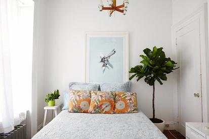 Top 5 Plants for Your Bedroom from Design Tips