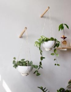 Grant Ceramic Planter | Planters & Pots for Indoor Plants | The Sill ...