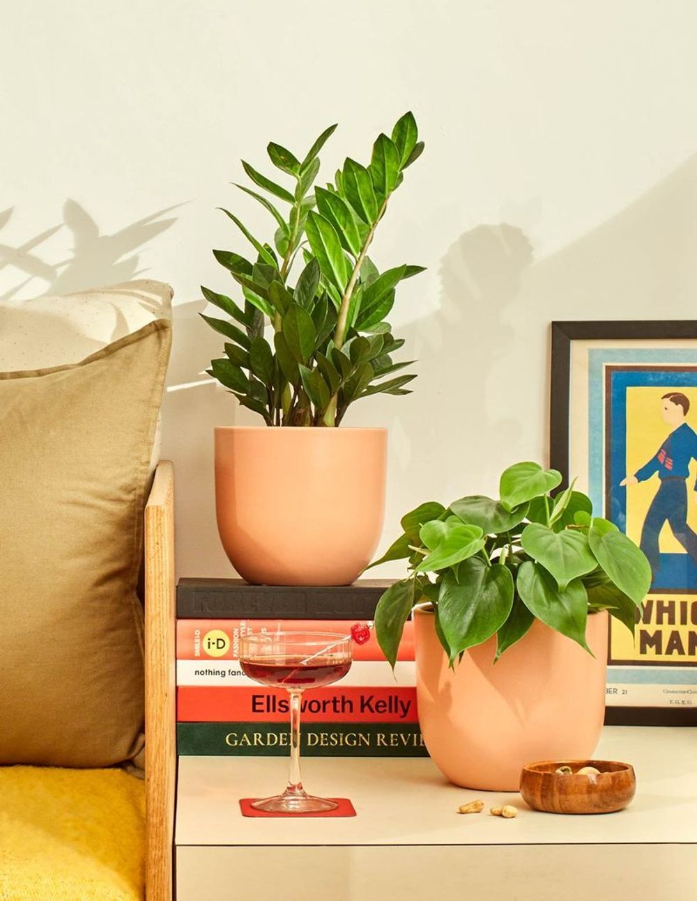 Buy Plants | Houseplant Delivery & Plant Care