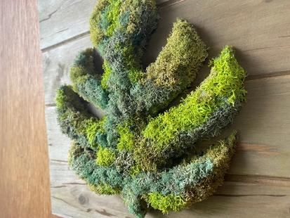 How-To DIY a Preserved Moss Wall from Design Tips