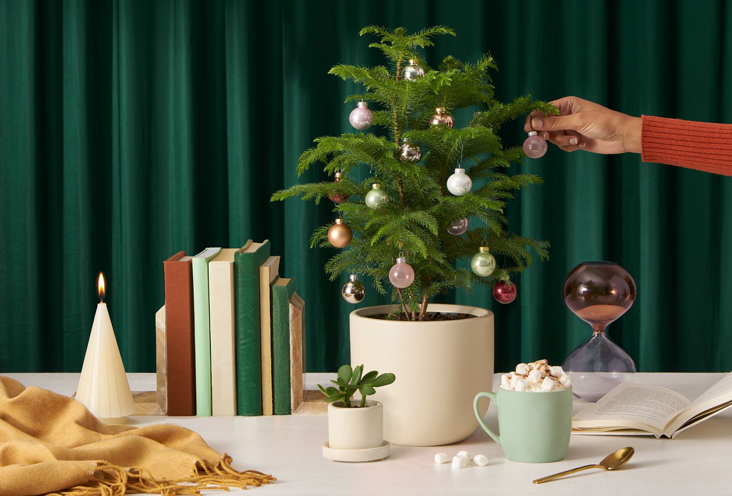 Decorate Your Plants for Christmas With These 4 Merry Ways - Omysa