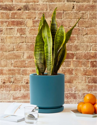 For Beginners Cover Photo