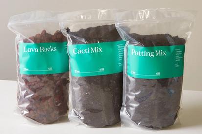 Plant Care: Potting Mix 101 from Common Care Questions