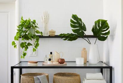 Four Ways to Style a Faux Monstera Frond from Design Tips