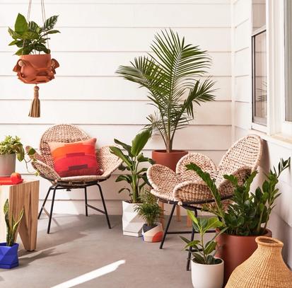 How To Move Your Plants Outside for Summer from Common Care Questions