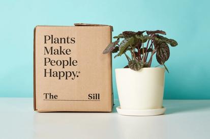 New Digs: Moving Plants Small & Tall Short & Long Distances from Common Care Questions