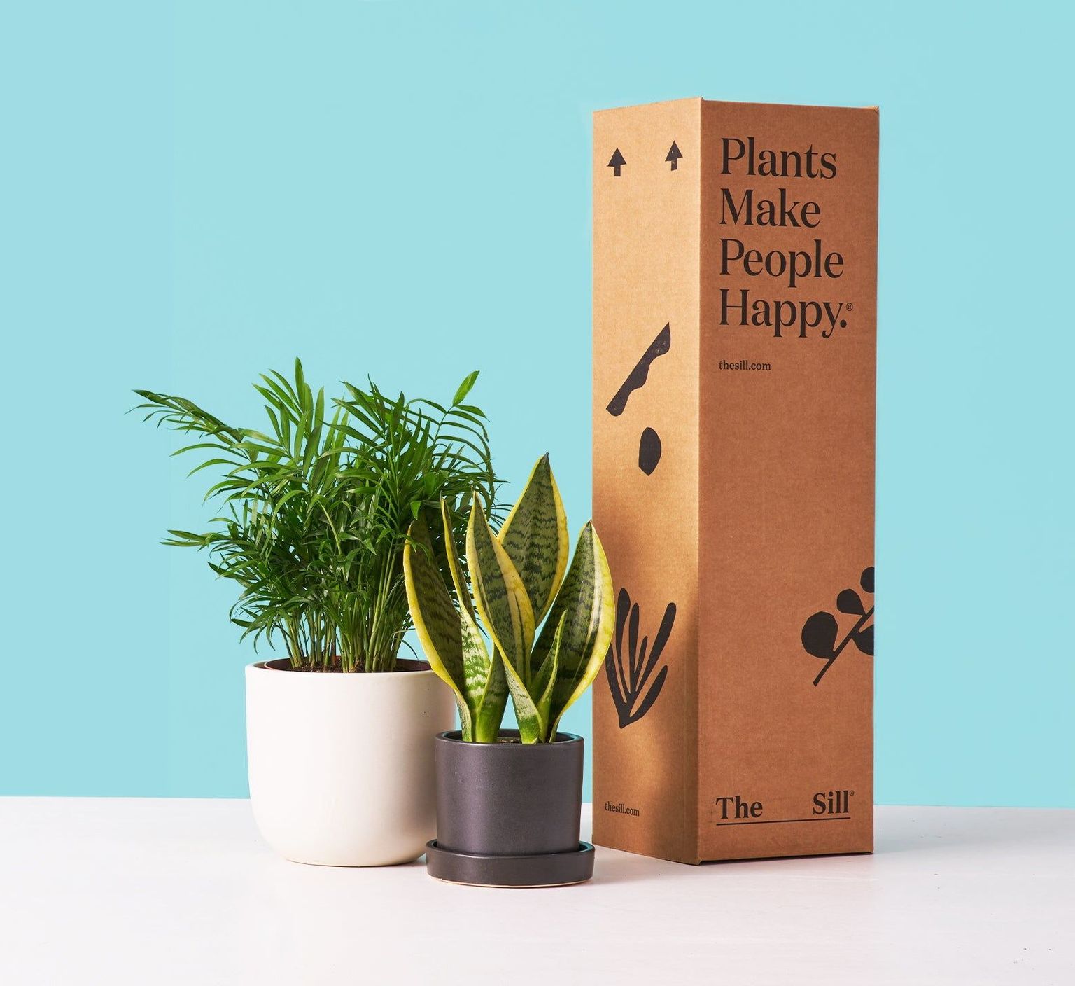 gift idea for INFP entrepreneurs - plants for beginners monthly subscription from the sill