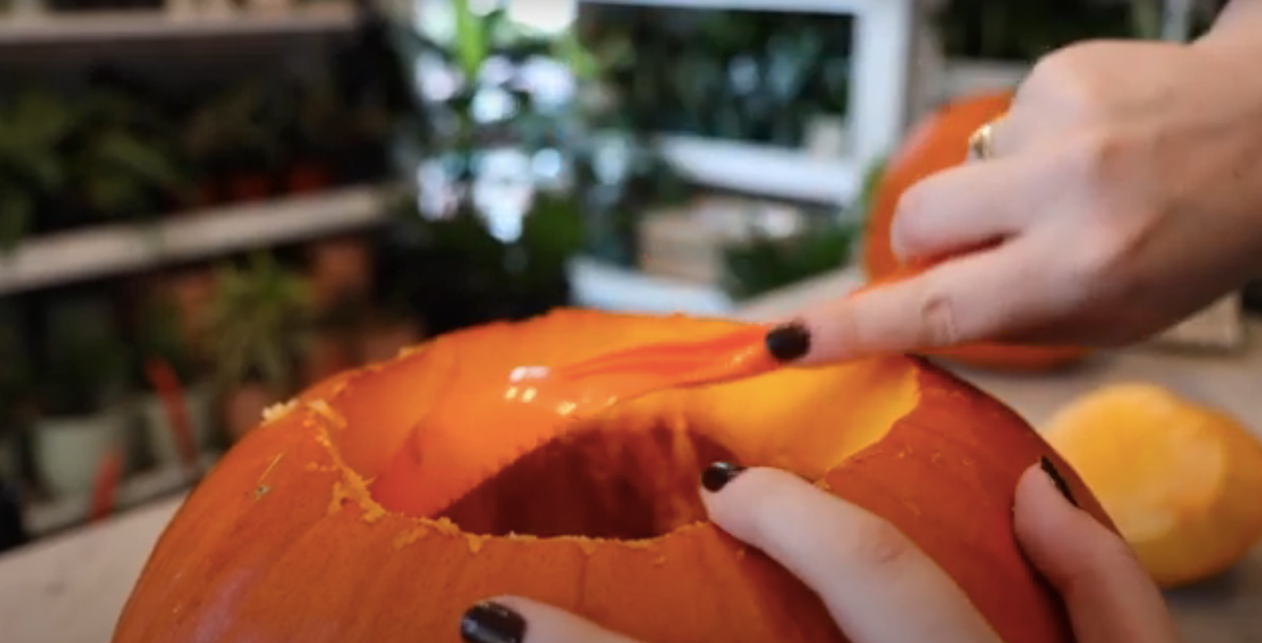 How to Carve a Pumpkin, Free Plant Stencils - The Sill