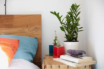 Finding the Right Space For Your Plant from Plants 101