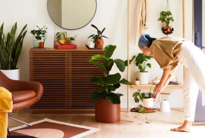 Tips for Decorating Your Space with Houseplants from Design Tips