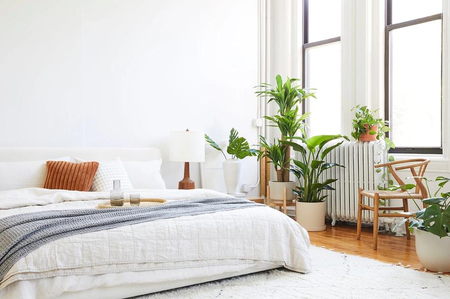 Faux-Ever: How To Set Up Your Faux Plant