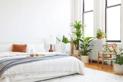 How To: Styling with Real and Faux Plants from Design Tips