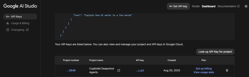 google gemini api key