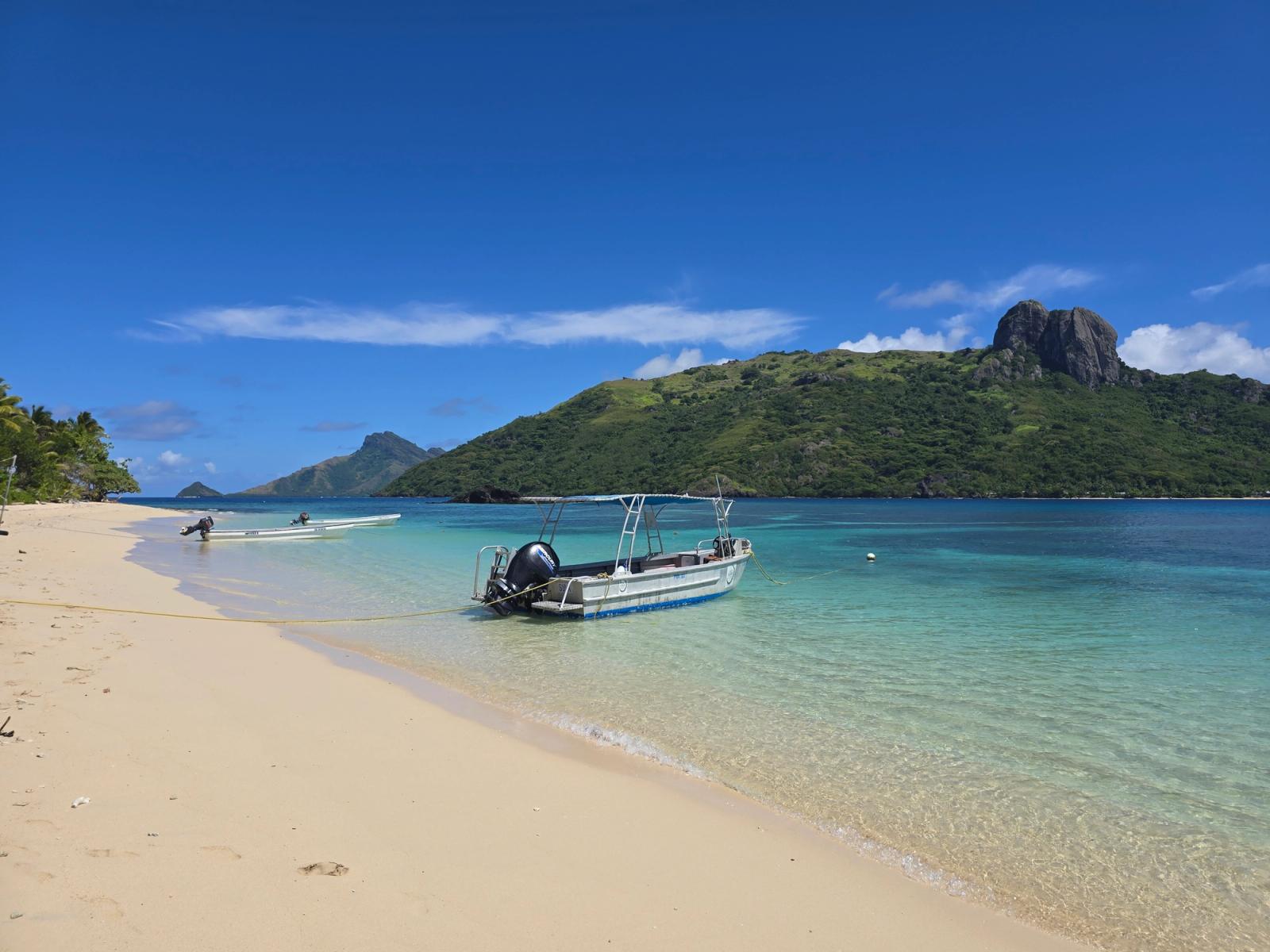 Kuata Island Shark Dive, Fiji