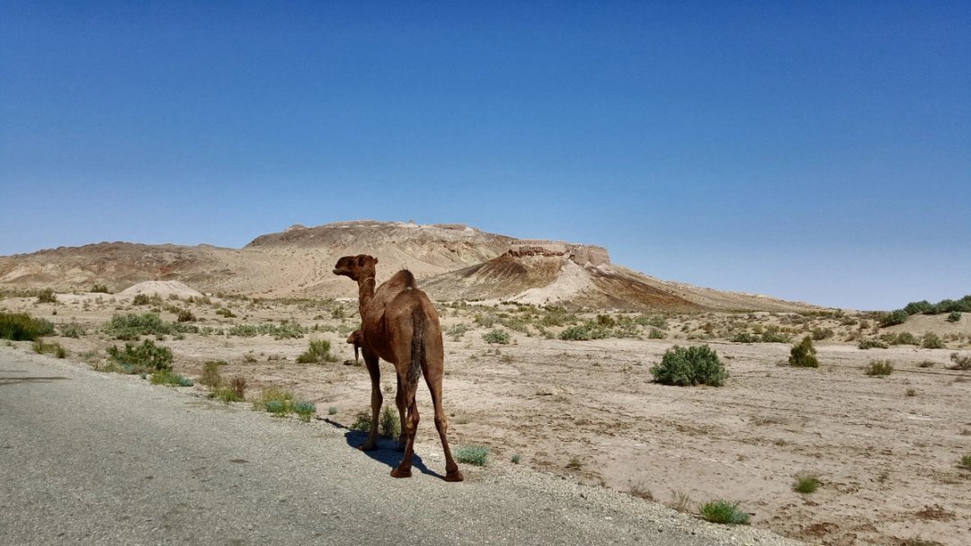 We drove the Mongol Rally through Central Asia