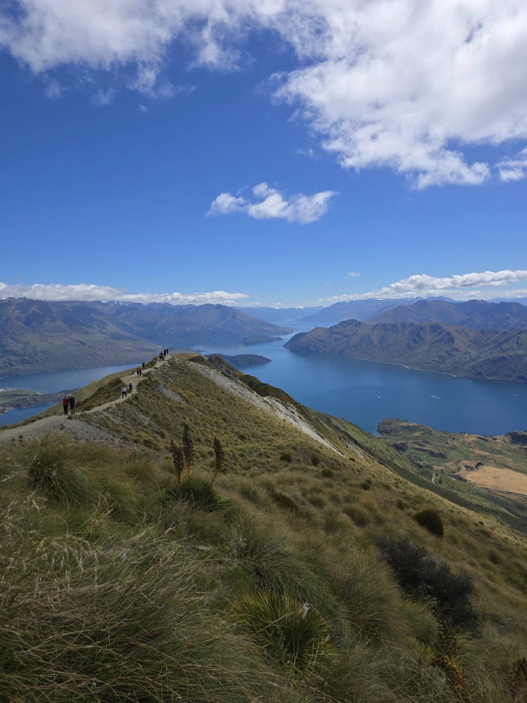 Roy's Peak: the view, and the queue for it