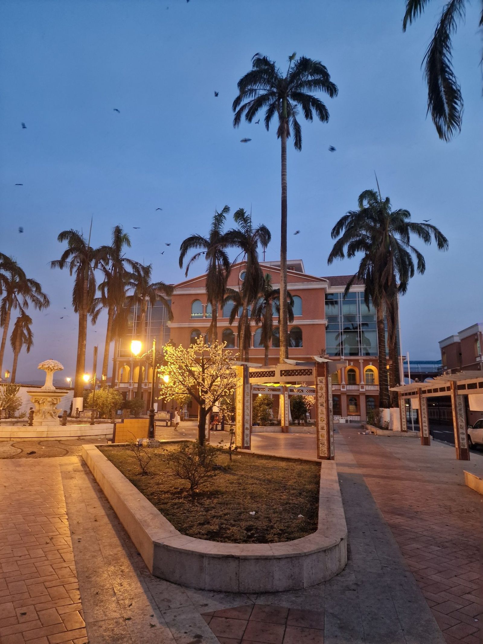 Bioko Island Journey, Equatorial Guinea