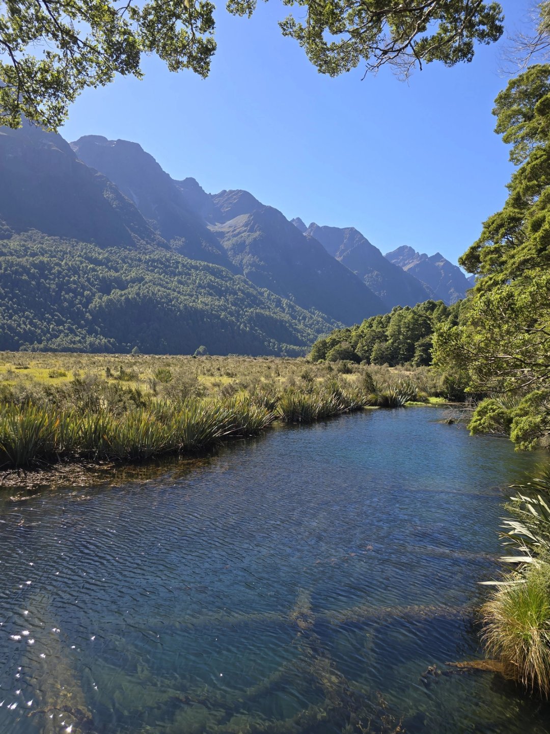 The Routeburn Track in a single day