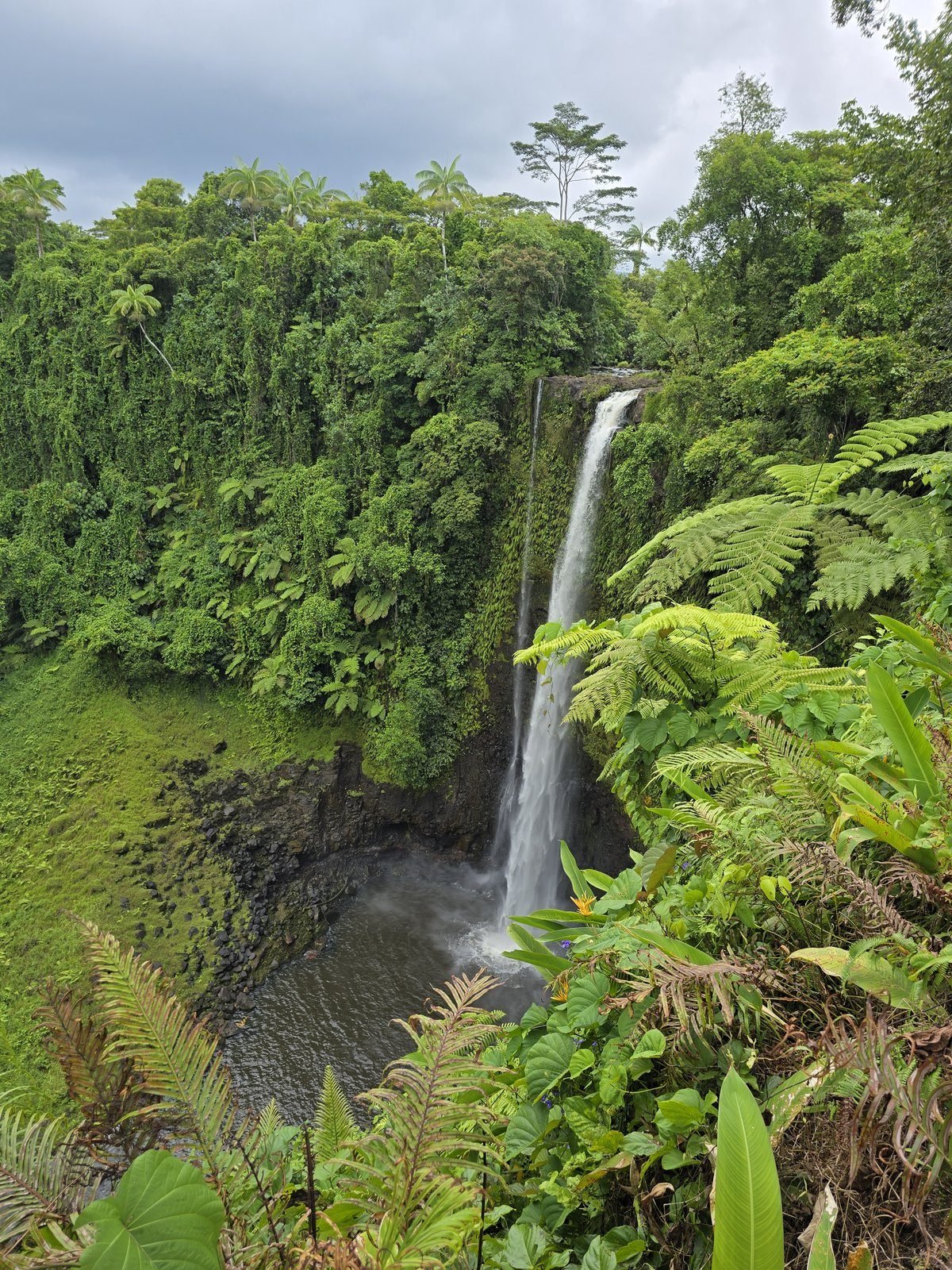 A waterfall ribboning into a green pool in the rainforest