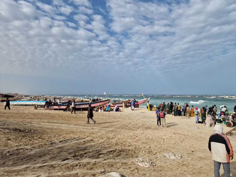 Nouakchott's fish market, when the boats come in