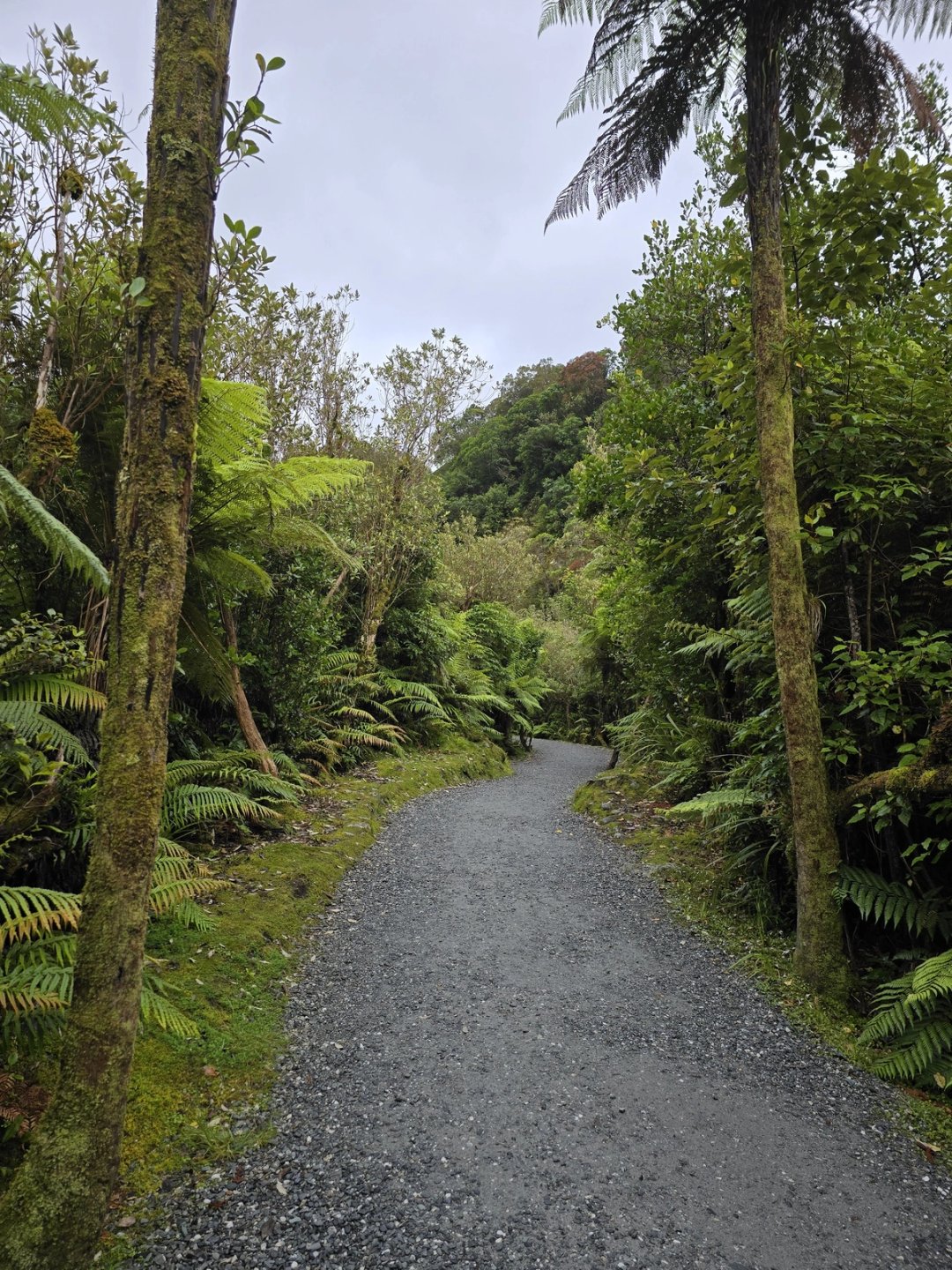 The South Island drive route that doesn't backtrack