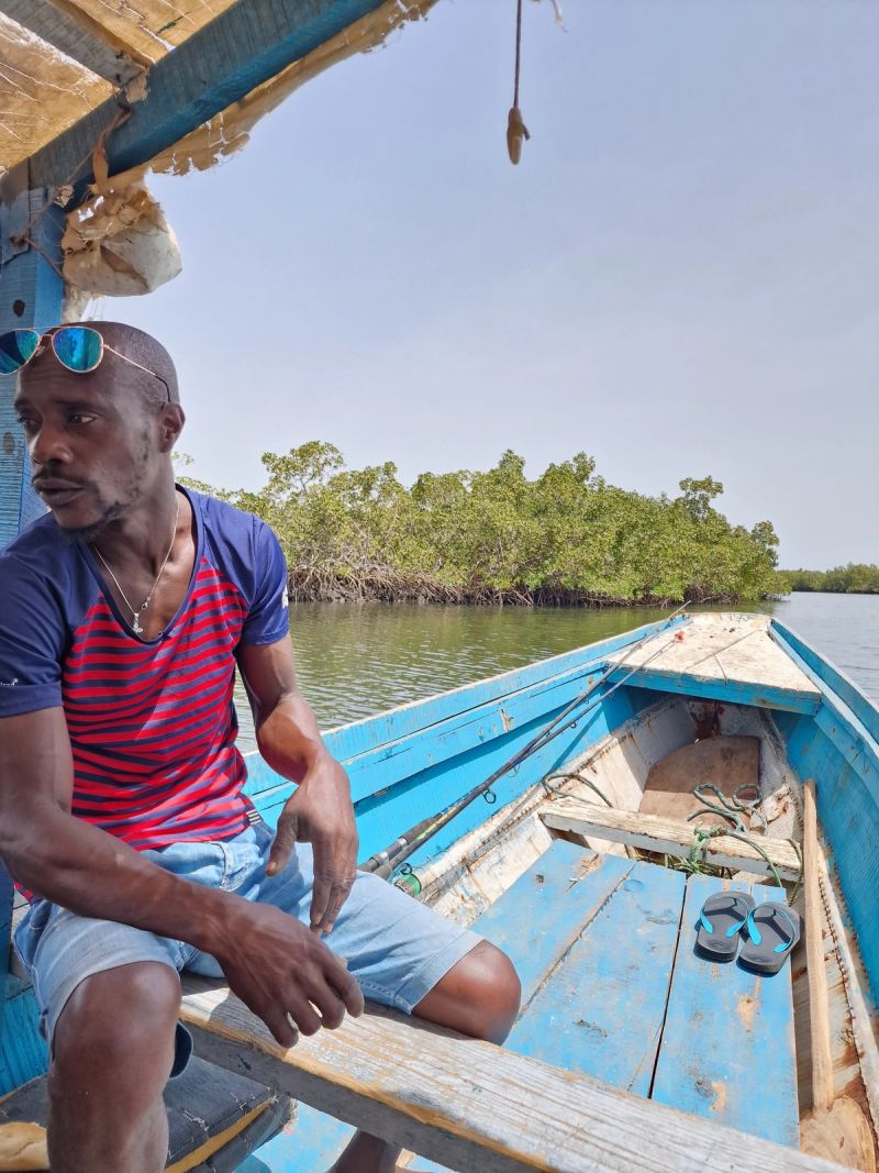 Oysters and crocodiles: a rest day on the Gambia river