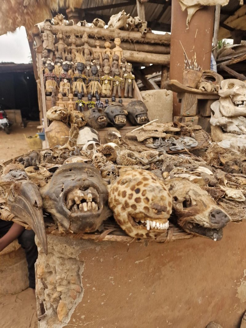 One day in Togo: Lomé, Togoville and why that was enough