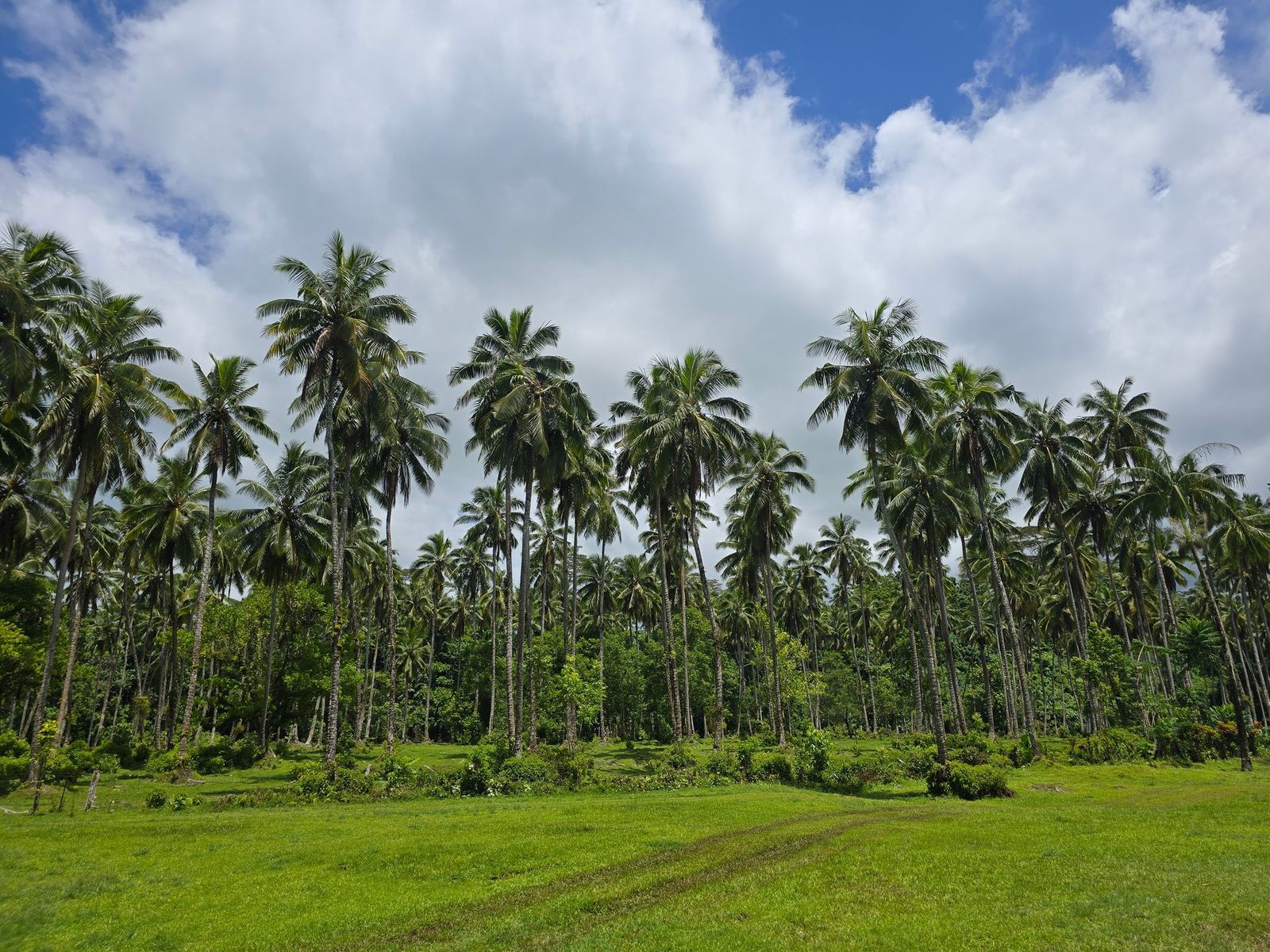 Samoa — Upolu and Savai'i Island Road Trip