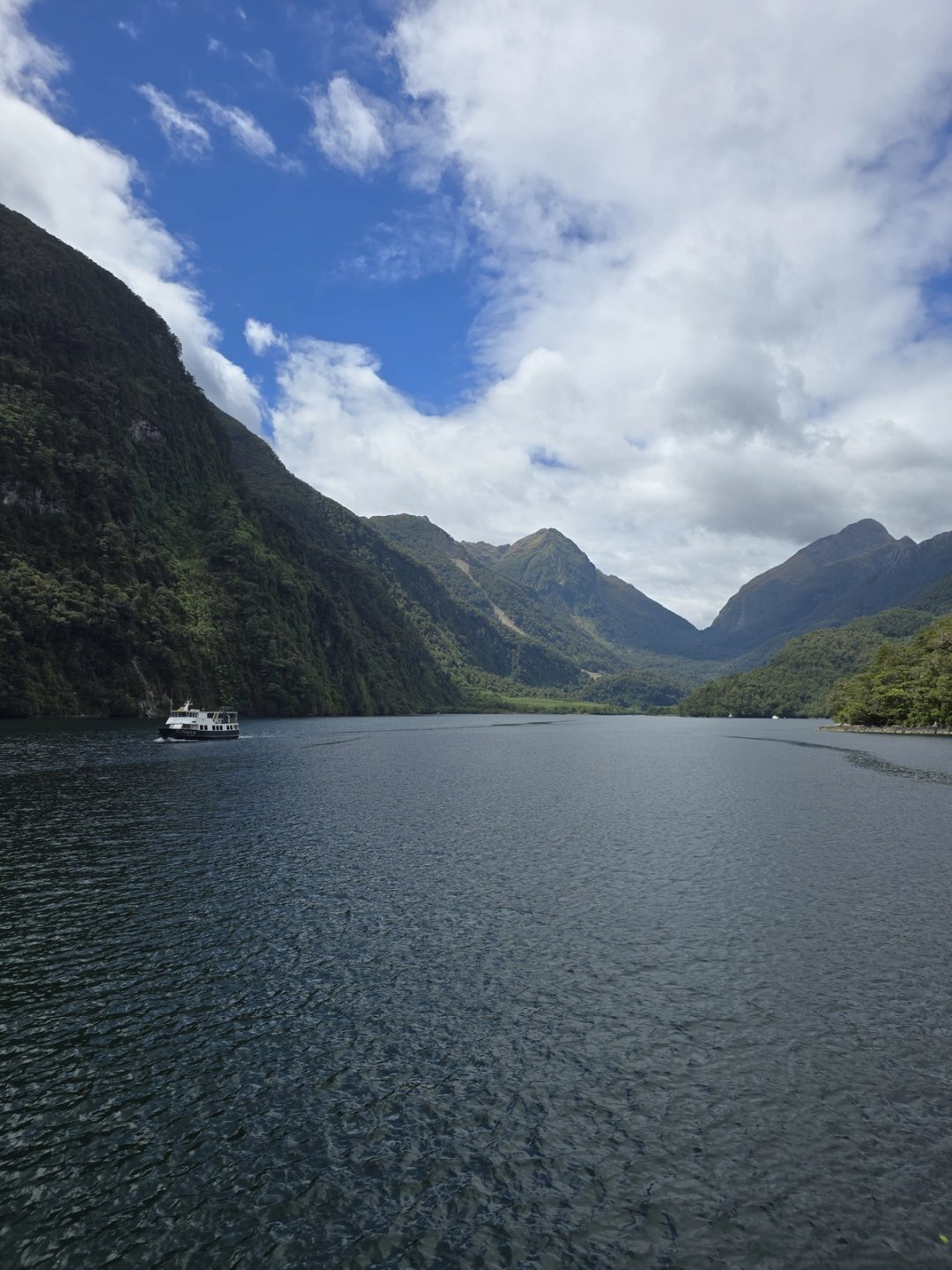Doubtful Sound, where the captain cuts the engines