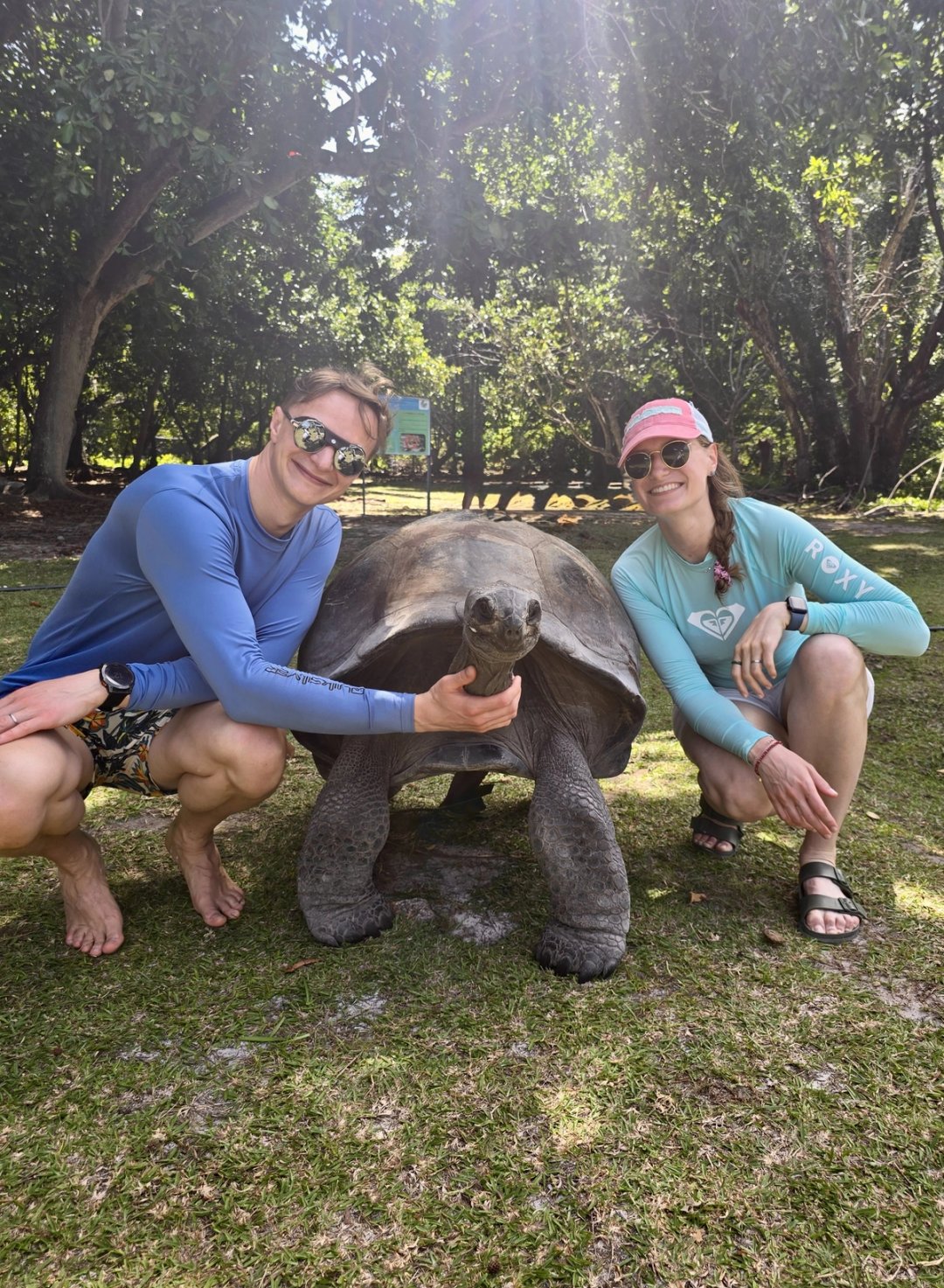 Curieuse Island, where giant tortoises roam right past you
