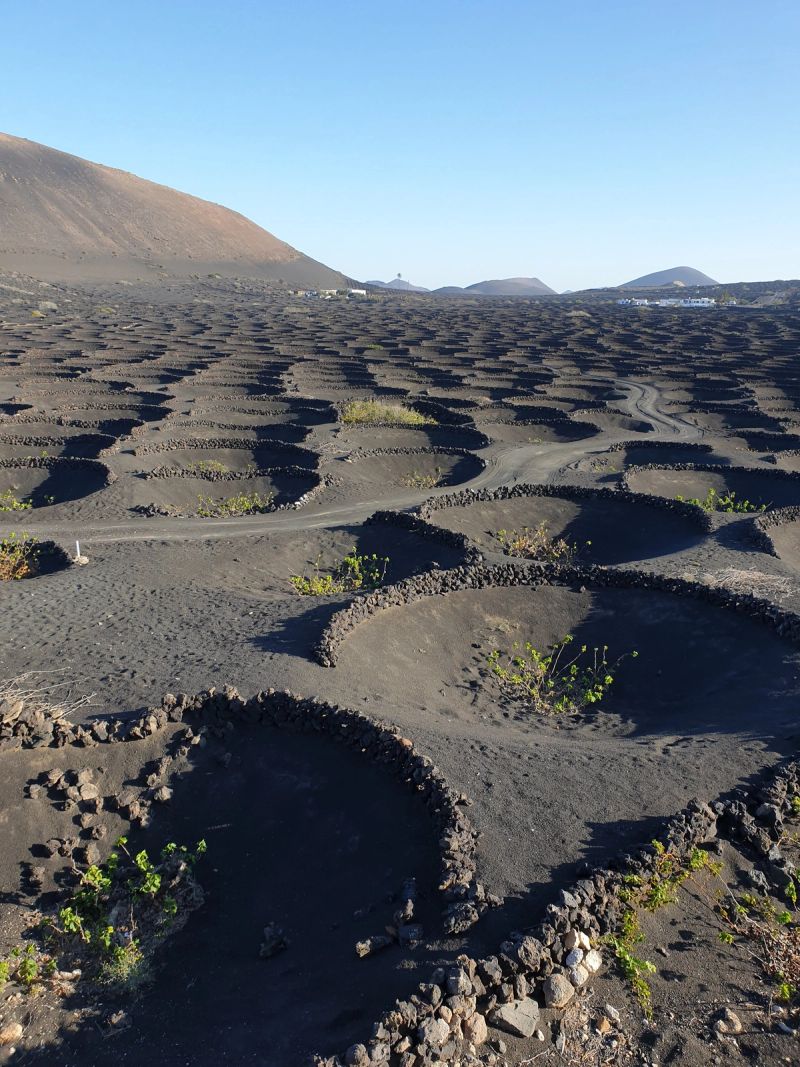 Lanzarote looks like Mars