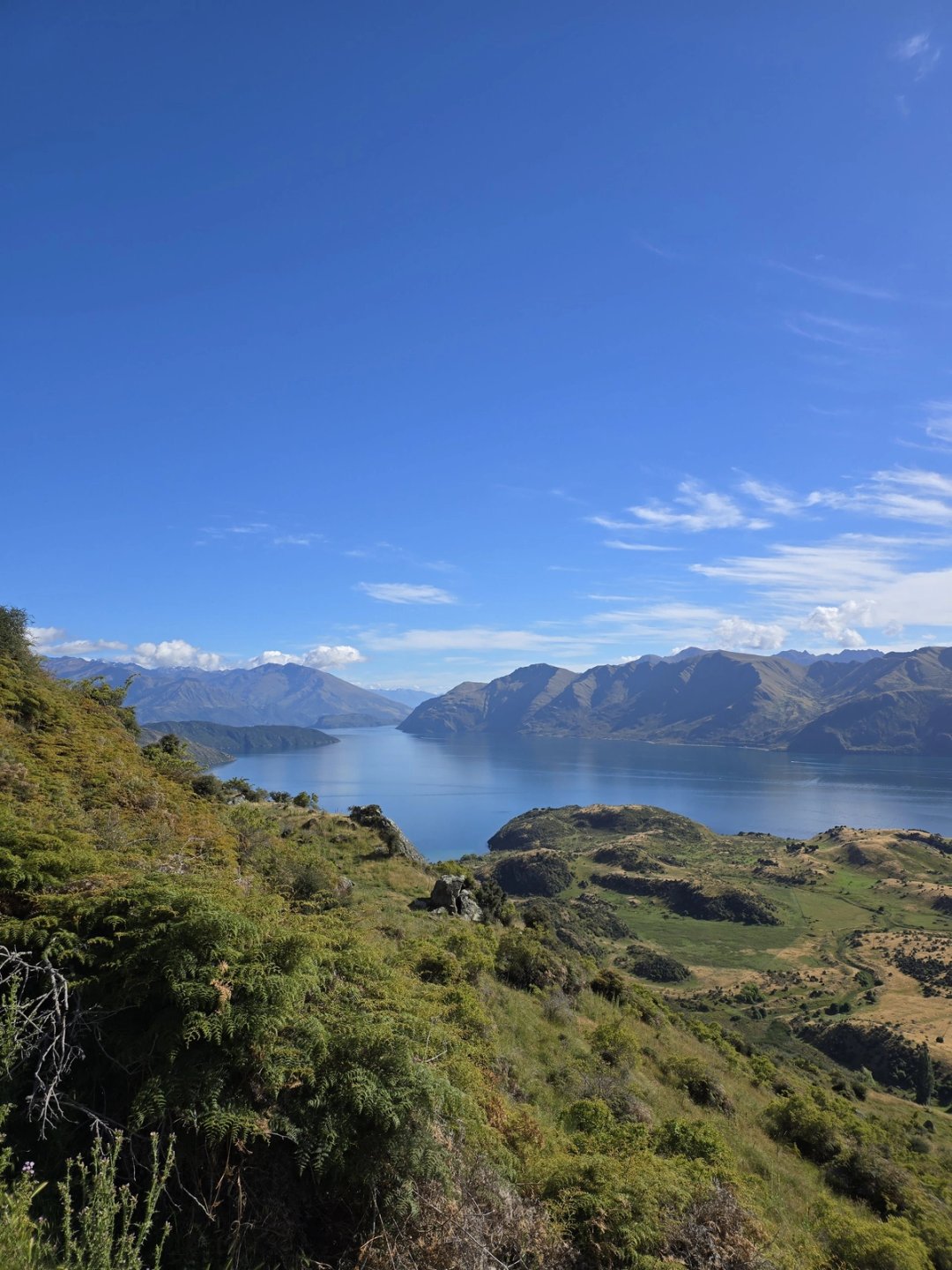 Roy's Peak: the view, and the queue for it