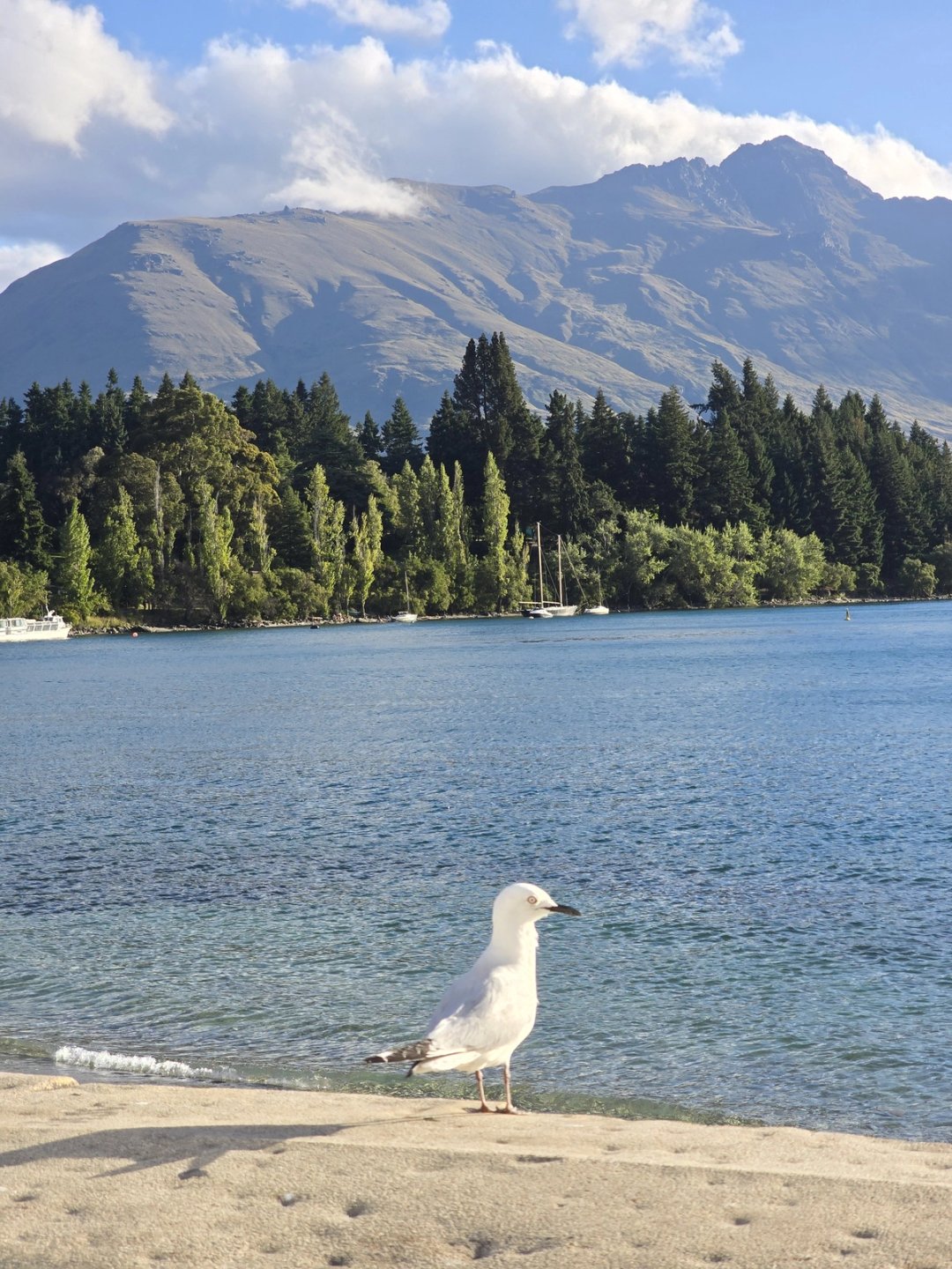How many days do you need on the South Island?