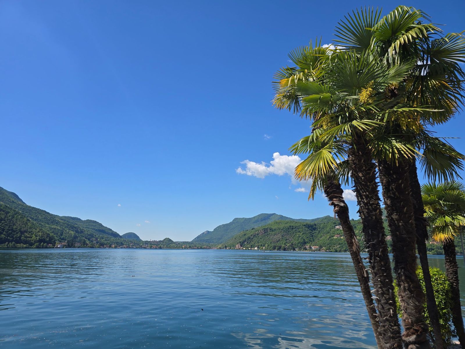 Morcote and Lugano Weekend — Swiss-Italian South