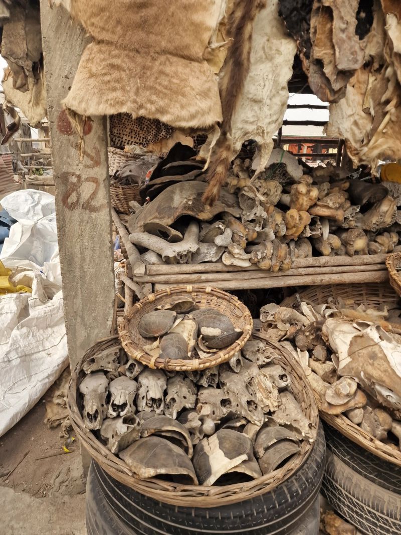 When the voodoo festival happens in Benin, and what you get if you miss it