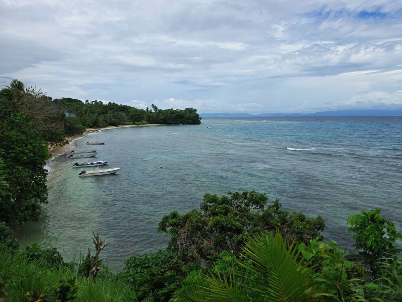 Driving Samoa and the Savai'i ferry: sort these two things first