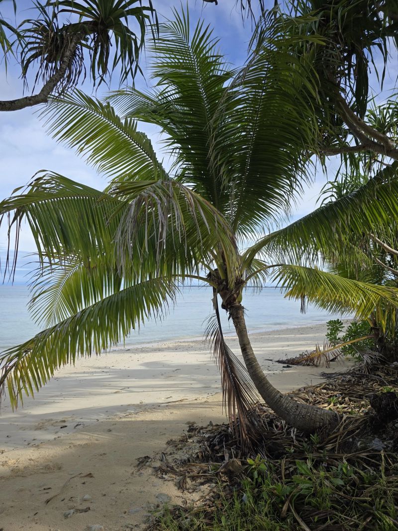 Tuvalu: the honeymoon almost nobody takes