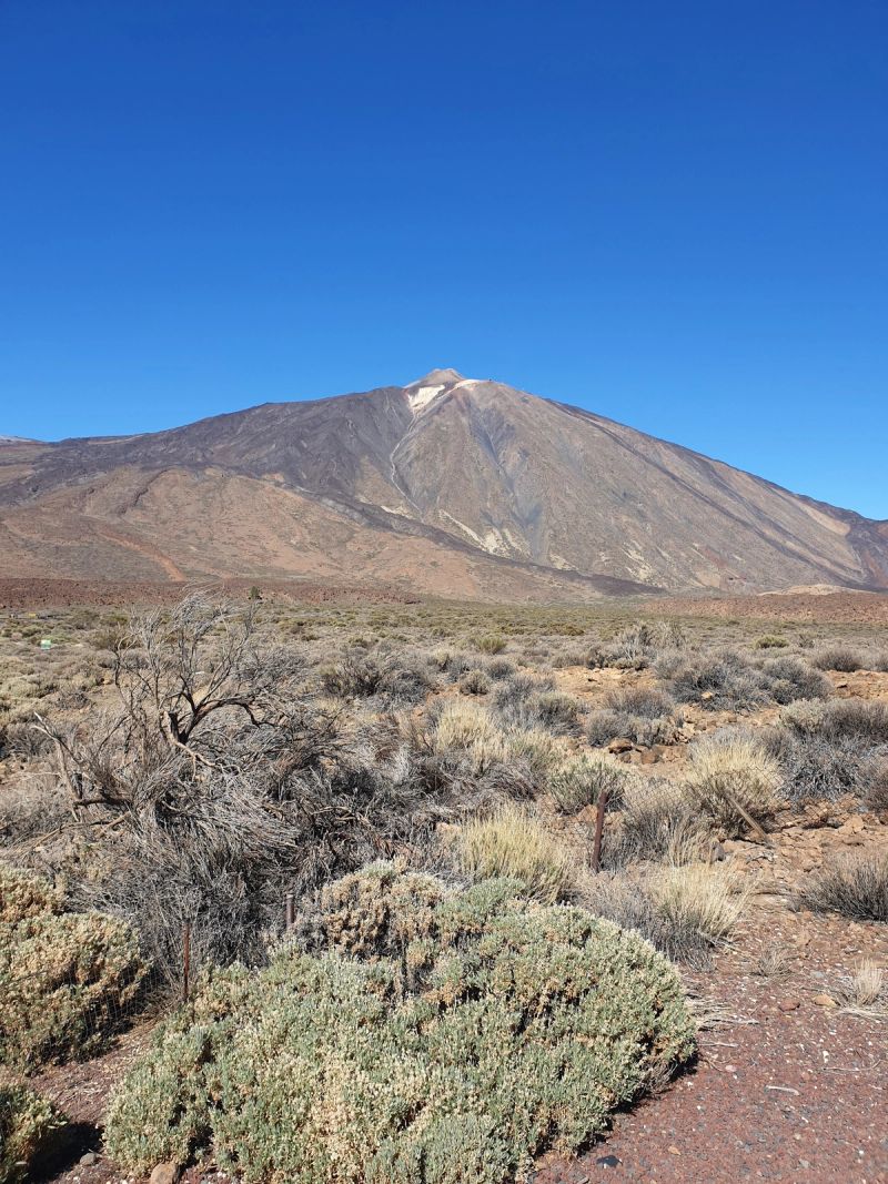 Teide cancelled our cable car. The day still won.