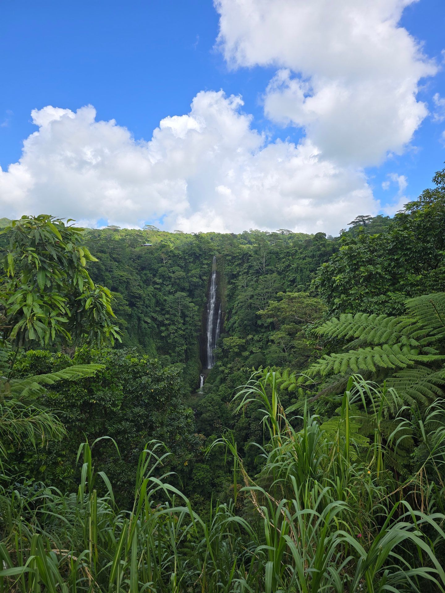 Samoa — Upolu and Savai'i Island Road Trip