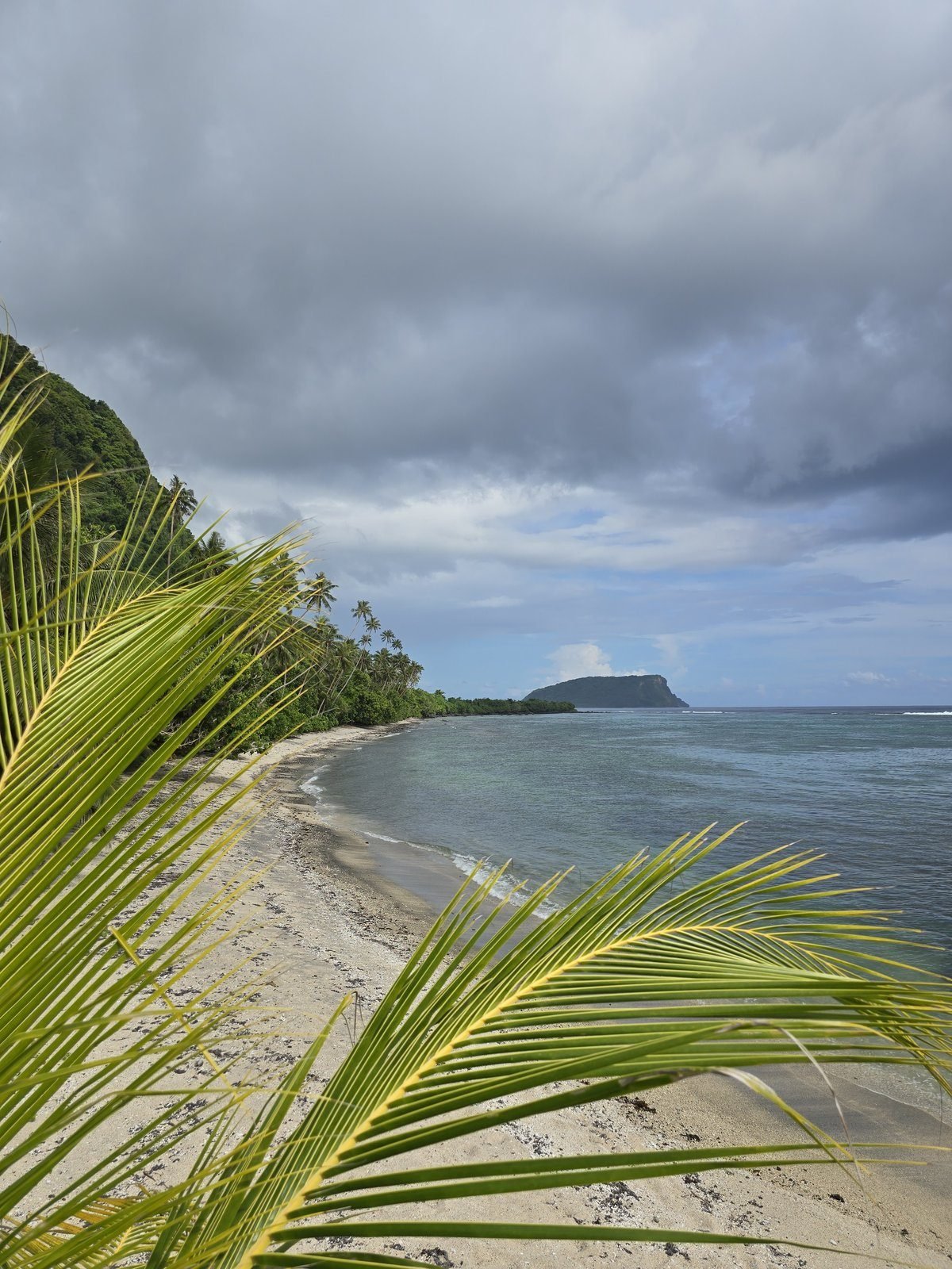 An empty white-sand beach with an island off the headland