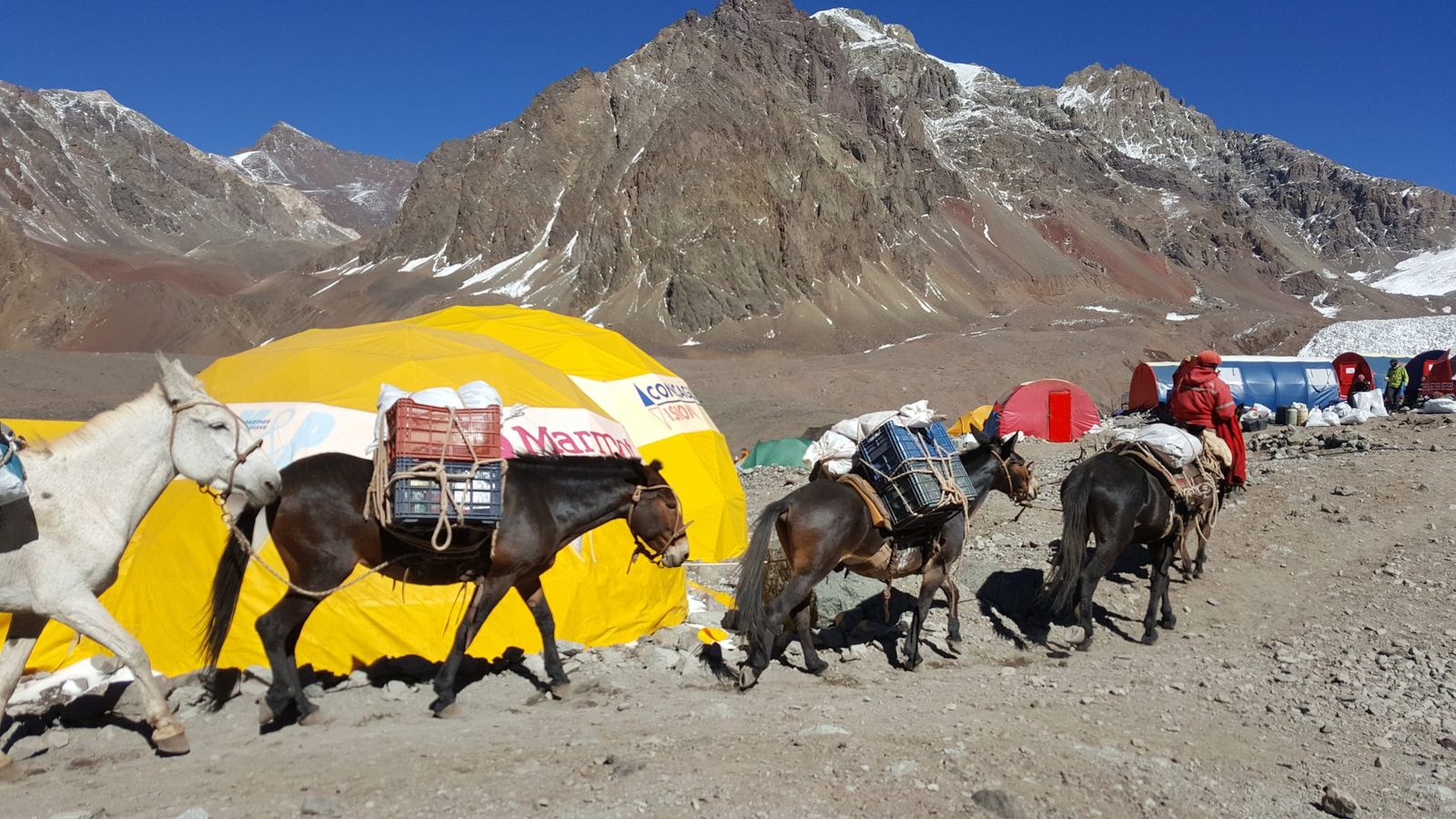 Aconcagua Summit Expedition