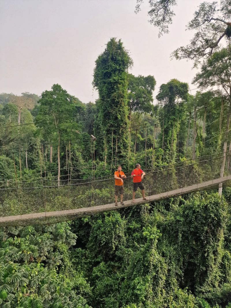 The Kakum canopy walk, and the sweat that comes with it