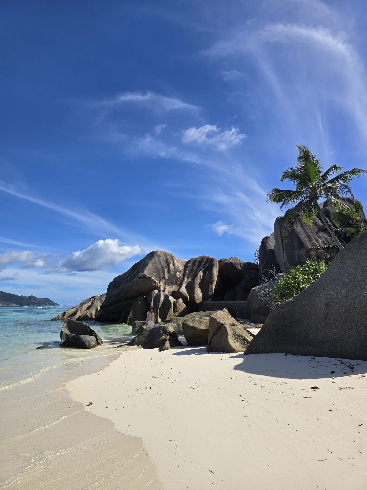 Granite boulders and a leaning palm on Anse Source d'Argent, La Digue
