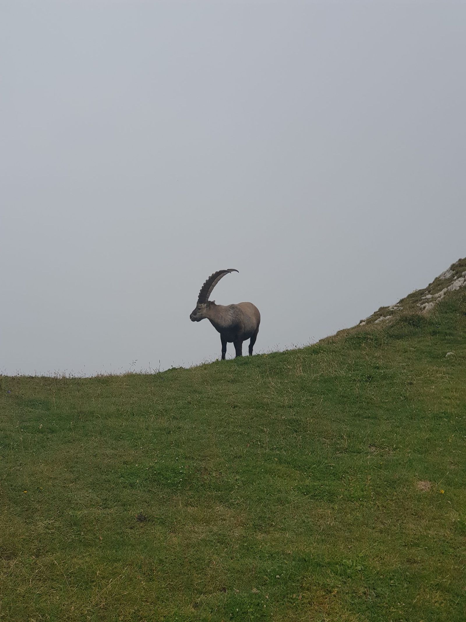 Säntis from Zurich — Alpine Ridge Day in Appenzell