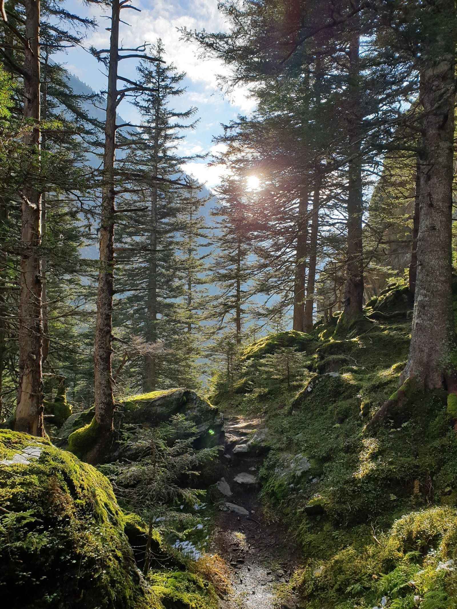 Triftbrücke from Zurich